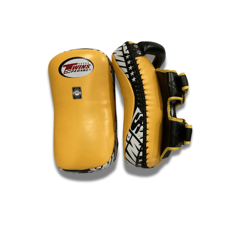 Thai pads and training equipment