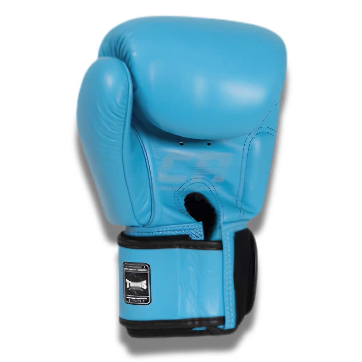 Twins Special BGVL3 Velcro Boxing Gloves - Light Blue
