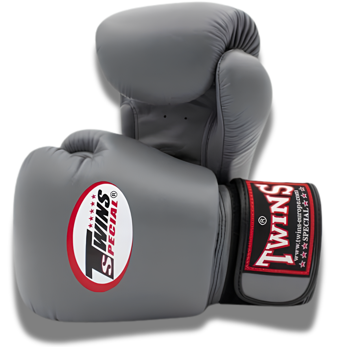 Twins Special - Velcro Boxing Gloves - BGVL3 - Grey