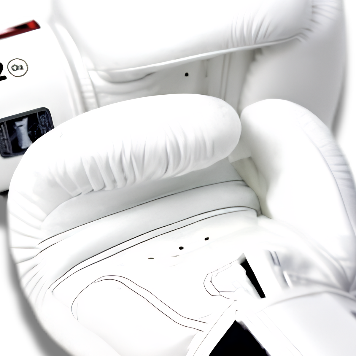 Twins Special - Velcro Boxing Gloves - BGVL3 - White