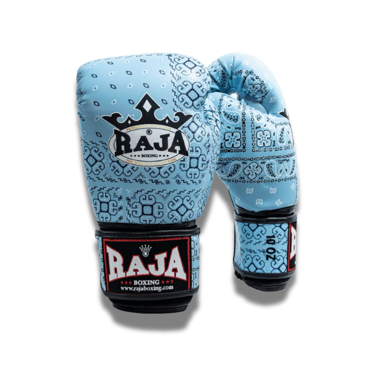 Raja Fancy Gloves - Indian Paisley (Light Blue)