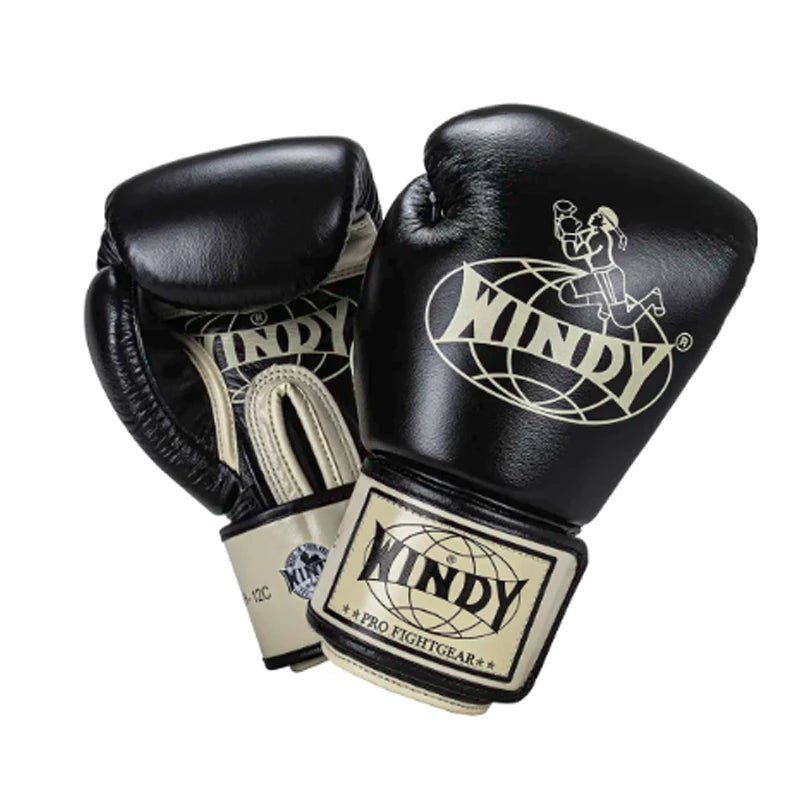 Windy Boxing Gloves BGVHH Premium