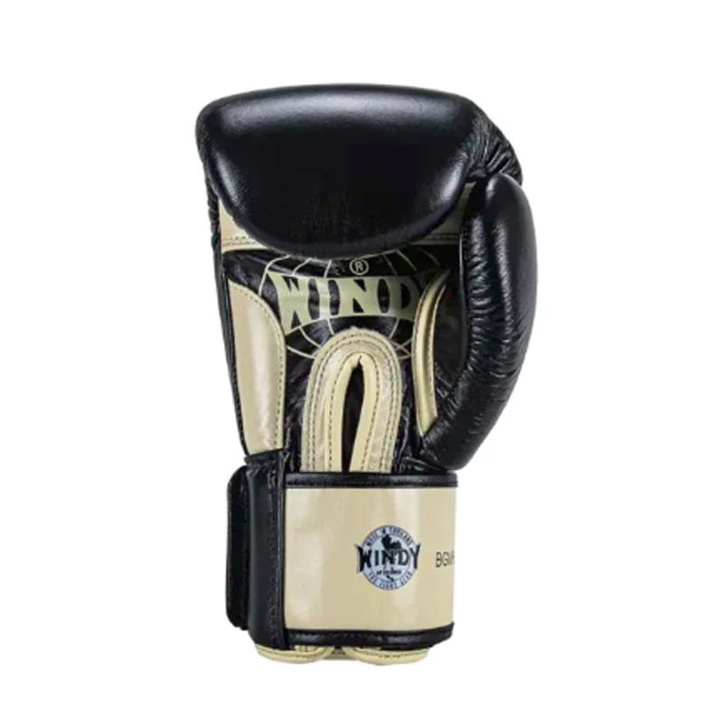 Windy Boxing Gloves BGVHH Premium