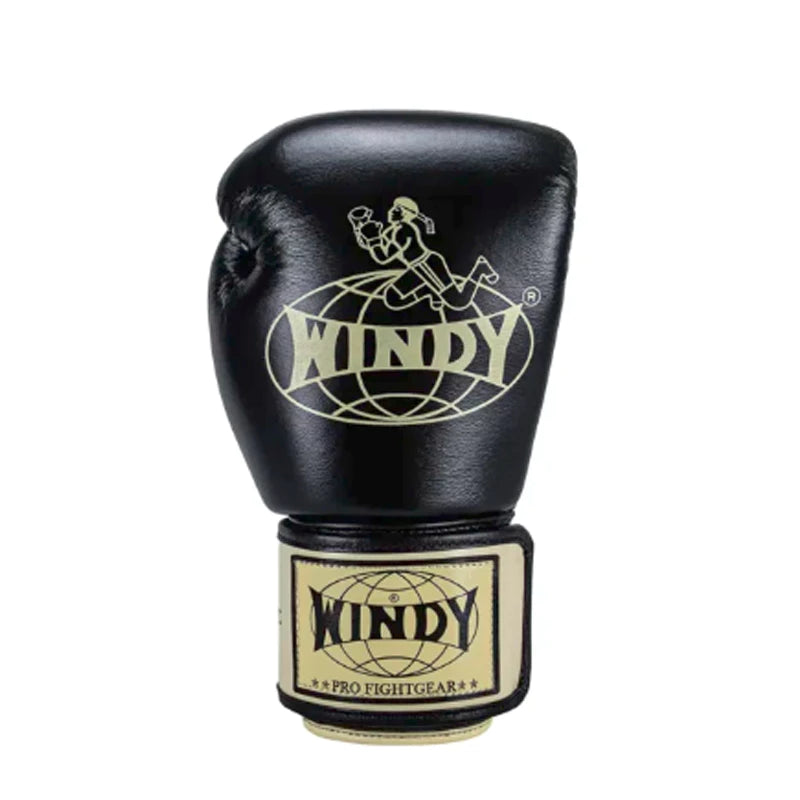 Windy Boxing Gloves BGVHH Premium